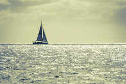 A solo yacht on the horizon