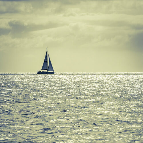 A solo yacht on the horizon