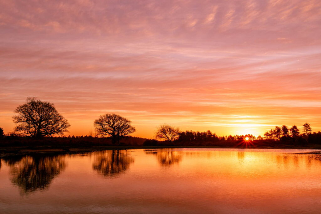 Mogshade Pond Winter Sunrise