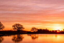 Mogshade Pond Sunrise Square