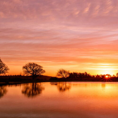 Mogshade Pond Sunrise Square